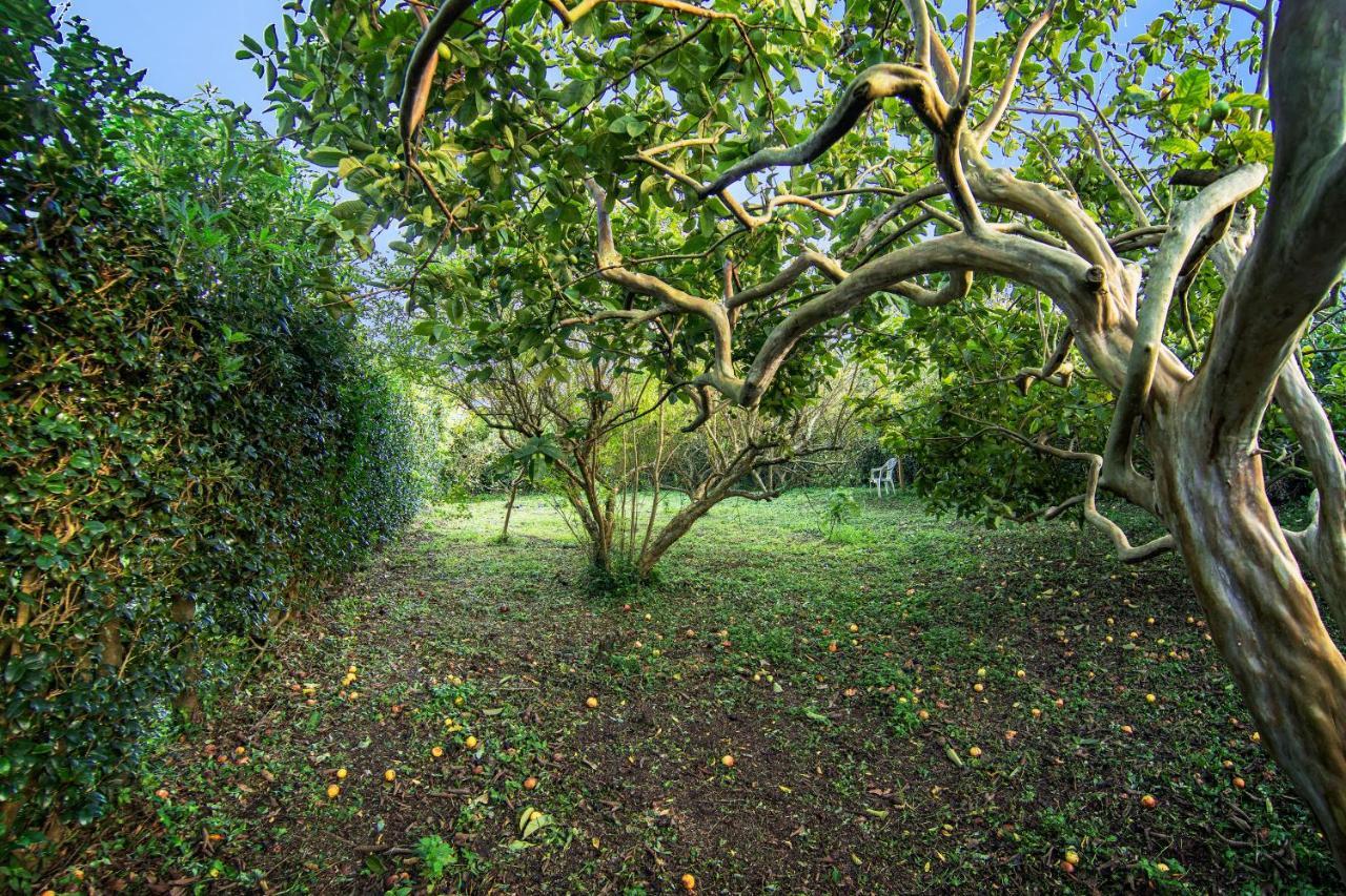 Casa Com Quinta Tradicional Villa Pico da Pedra Eksteriør bilde
