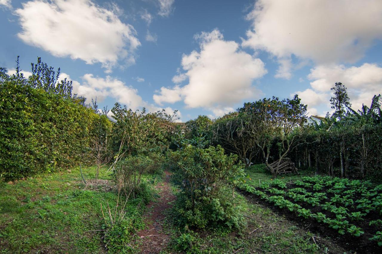 Casa Com Quinta Tradicional Villa Pico da Pedra Eksteriør bilde